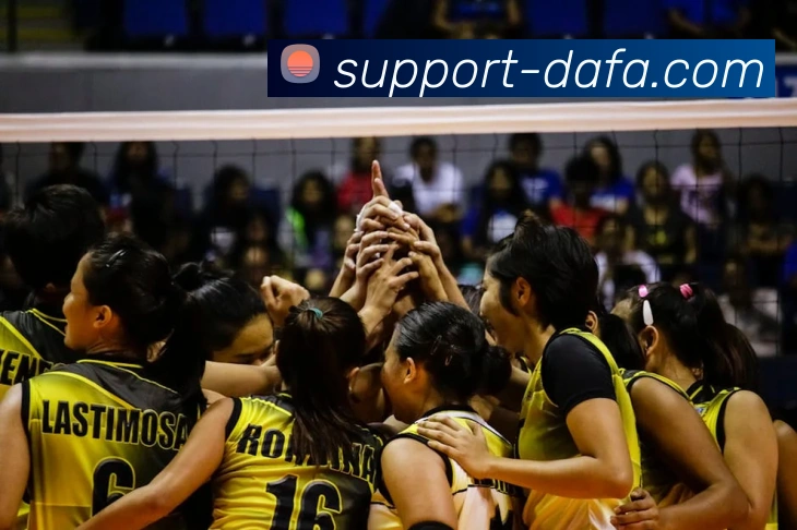 大发彩票APP 封面图